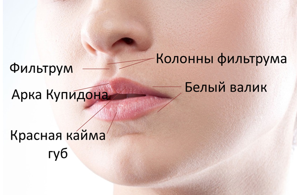 части губ и окологубной зоны